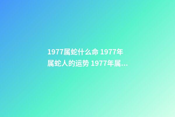 1977属蛇什么命 1977年属蛇人的运势 1977年属蛇人的一生运势-第1张-观点-玄机派